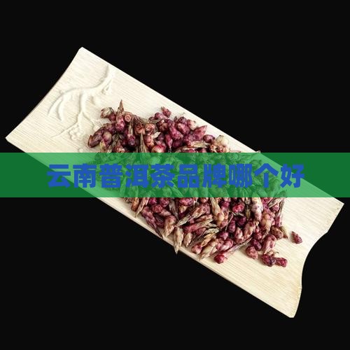 版纳普洱茶哪个好