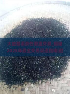 大益普洱茶在哪里交易