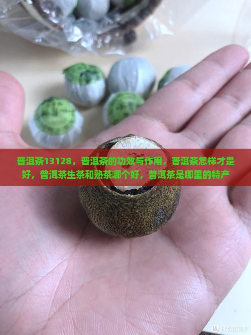 普洱茶13128