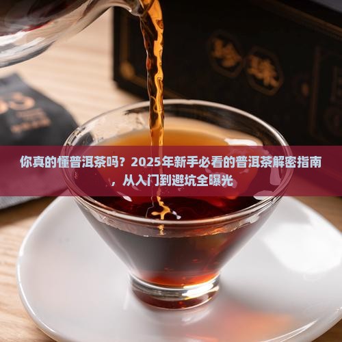 如何向客人介绍普洱茶