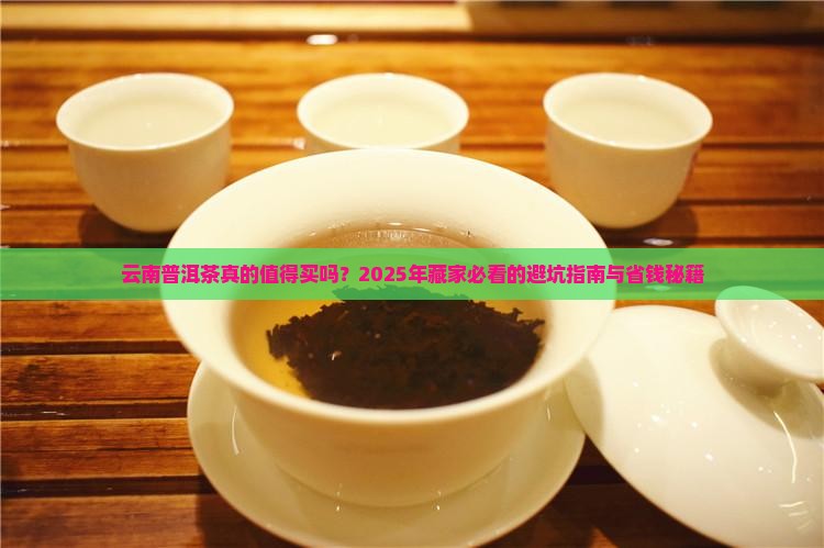 云南普洱茶购买藏价位高吗