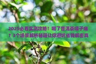喝了普洱茶嗓子痛怎么回事