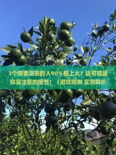 美熟普洱茶上火严重