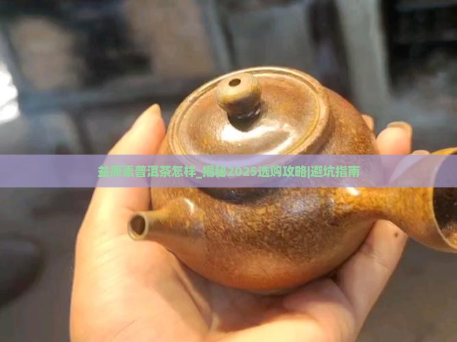 益原素普洱茶怎样