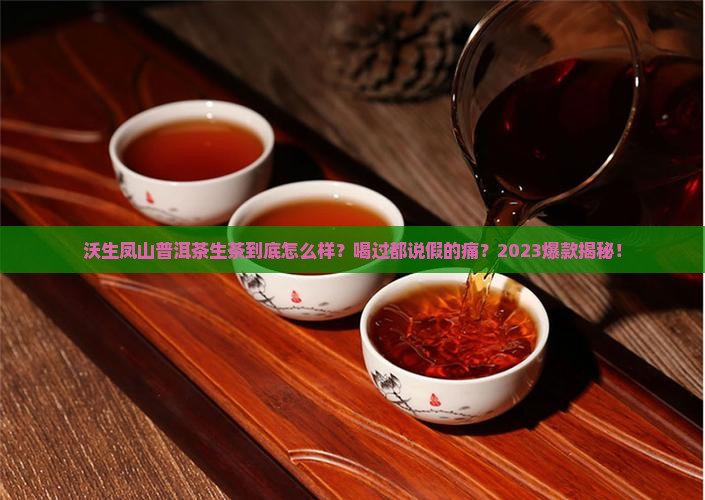沃生凤山普洱茶生茶怎么样