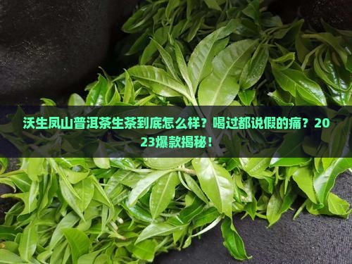 沃生凤山普洱茶生茶怎么样