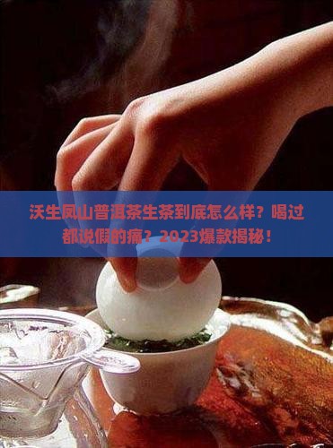 沃生凤山普洱茶生茶怎么样