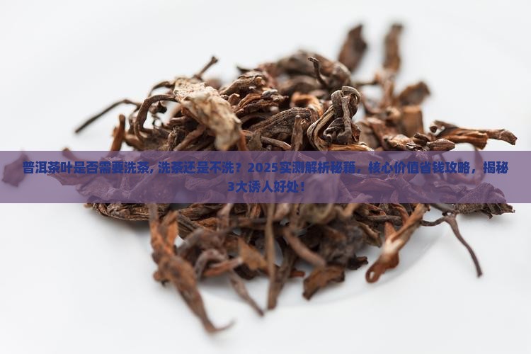 普洱茶叶是否需要洗茶