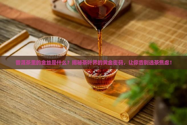 普洱茶里的金丝是什么