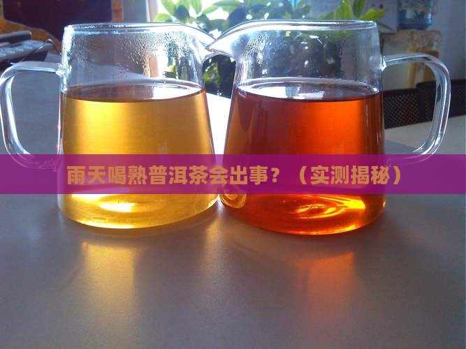 雨天喝熟普洱茶可以吗