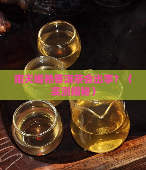 雨天喝熟普洱茶可以吗