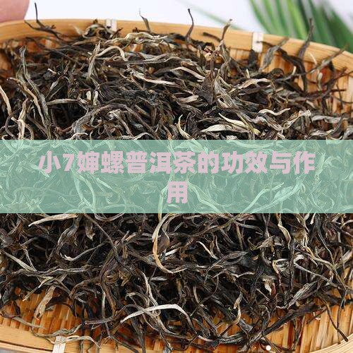 小7婶螺普洱茶