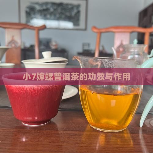 小7婶螺普洱茶