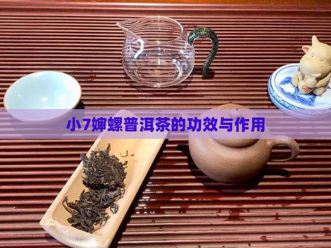 小7婶螺普洱茶