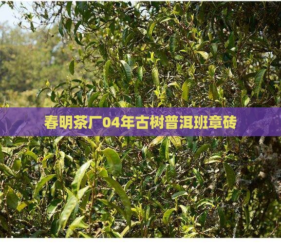 春明茶厂04年班章砖