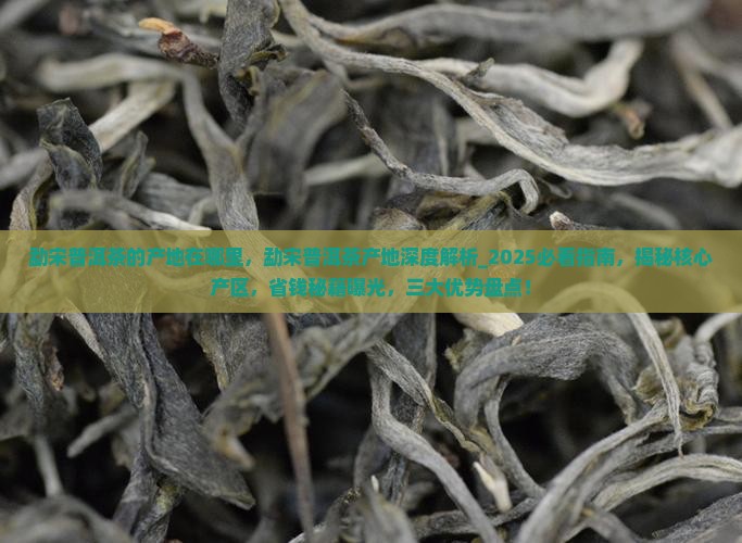 勐宋普洱茶的产地在哪里