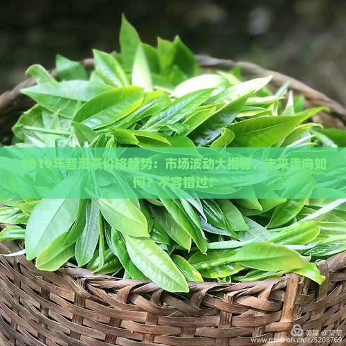 2019年普洱茶价格趋势