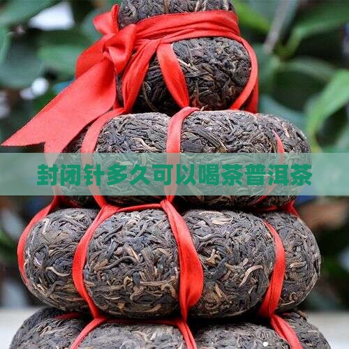 封闭针多久可以喝普洱茶