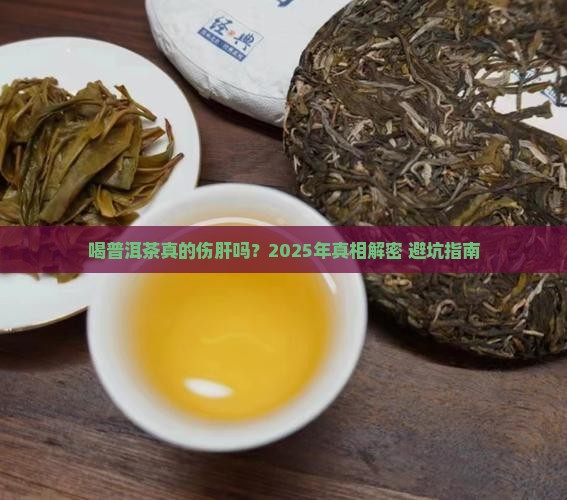 喝普洱茶是否伤肝