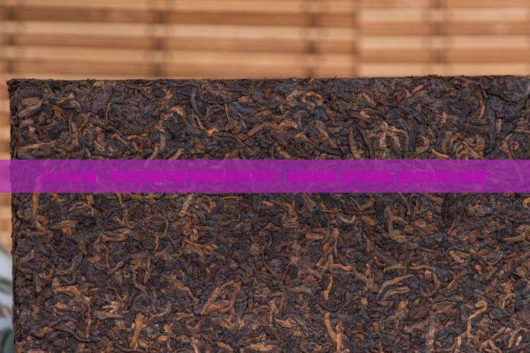 用真空袋存普洱茶好吗
