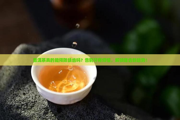 普洱茶预防龋齿吗怎么喝