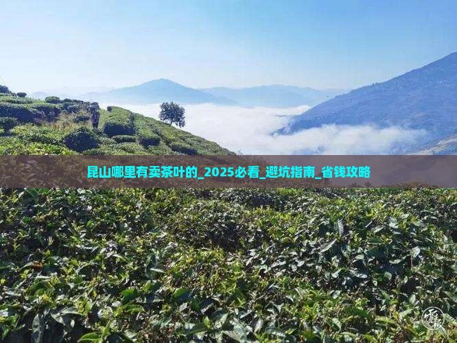 昆山哪里有卖茶叶的