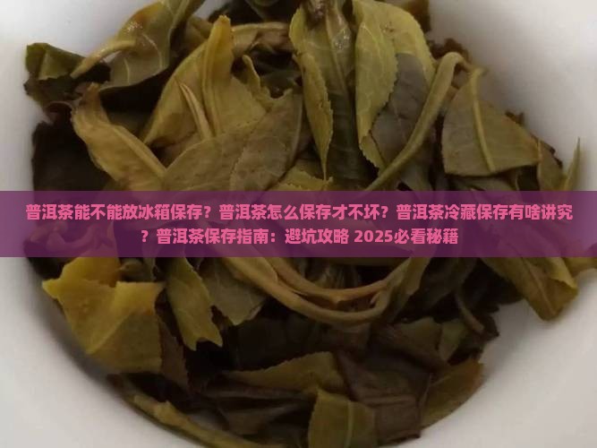 普洱茶能不能放冰箱保存