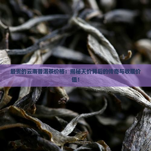 最贵的云南普洱茶价格