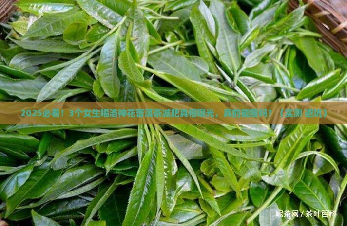 洛神花普洱茶减肥吗
