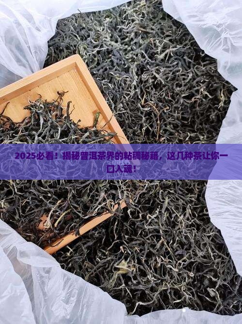 什么普洱茶比较粘稠