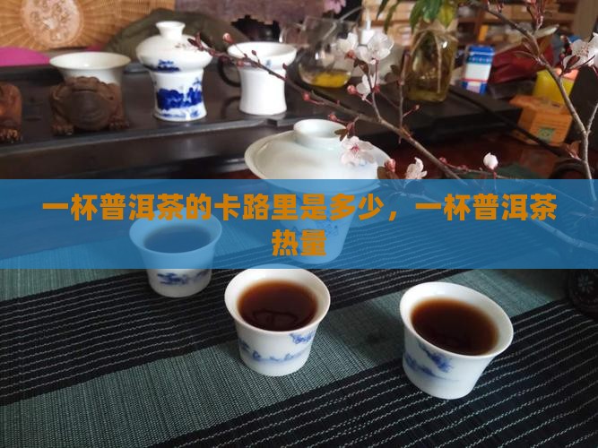 一杯普洱茶的卡路里