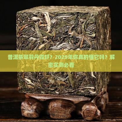 普洱茶翠羽丹霞轩