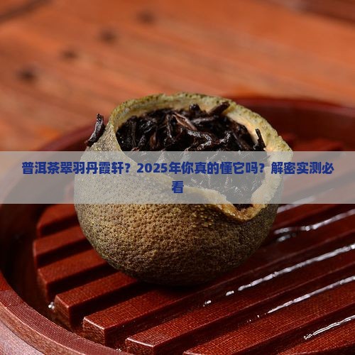 普洱茶翠羽丹霞轩