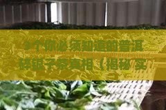 普洱碎银子茶是什么茶类