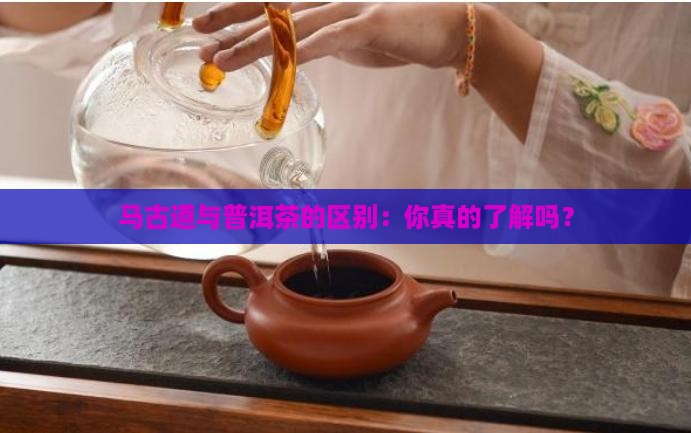 马古道与普洱茶的区别
