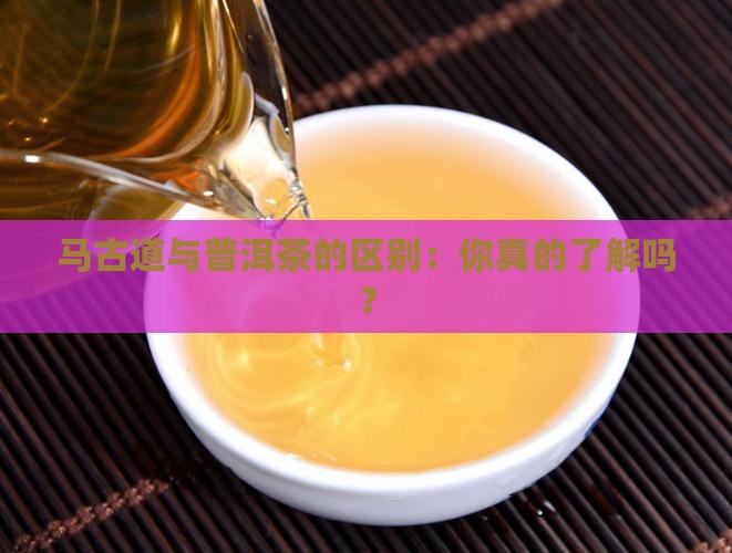 马古道与普洱茶的区别