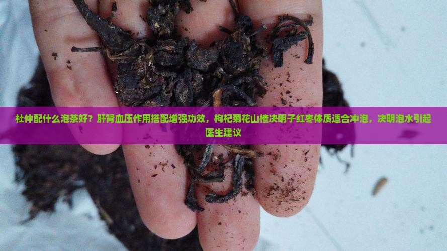 杜仲叶配什么泡茶好
