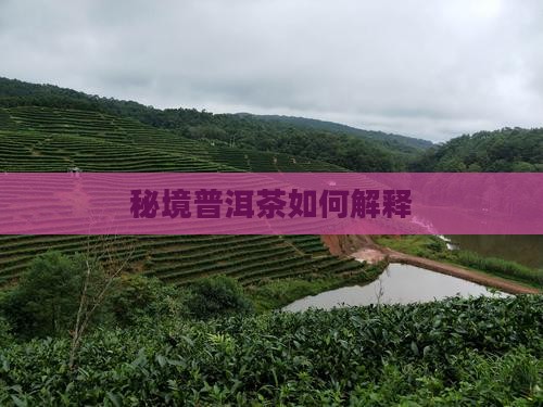 秘境普洱茶如何解释