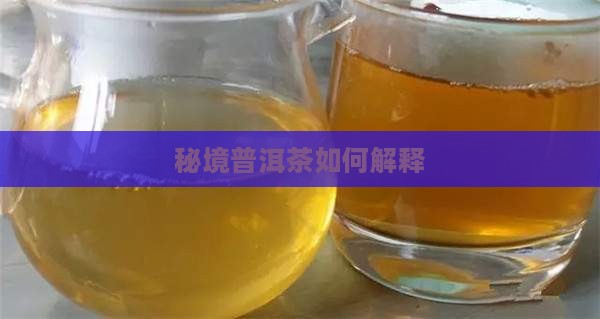秘境普洱茶如何解释