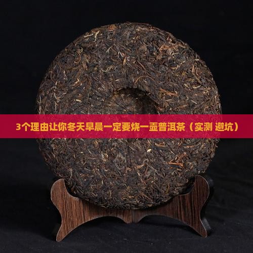 冬天早晨烧一壶普洱茶