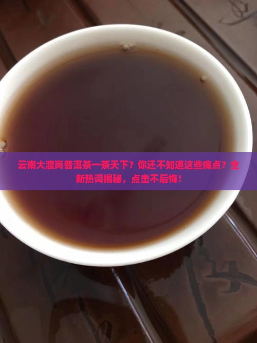云南大渡岗普洱茶一茶天下