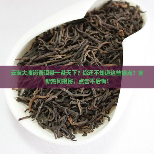 云南大渡岗普洱茶一茶天下