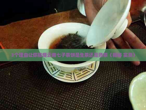 云南七子茶饼是生茶还是熟茶