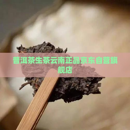 生茶普洱茶京东自营