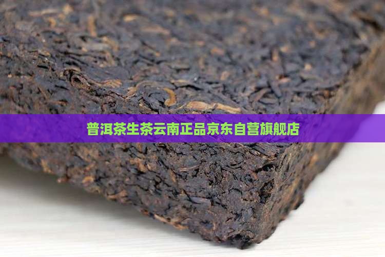 生茶普洱茶京东自营