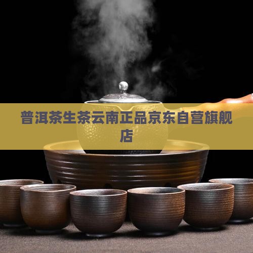 生茶普洱茶京东自营