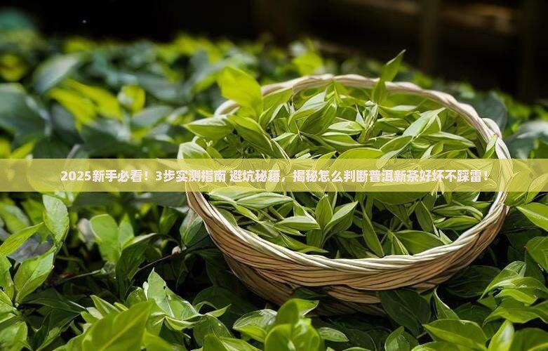 怎么判断一款普洱新茶的好坏