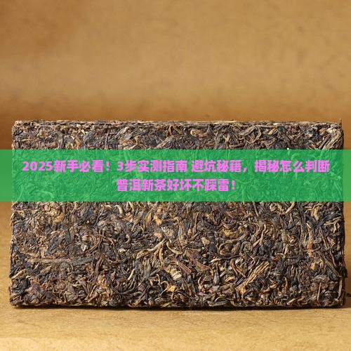 怎么判断一款普洱新茶的好坏