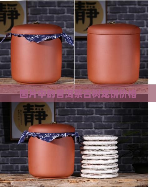 普洱茶古树龙饼