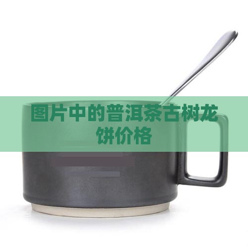 普洱茶古树龙饼